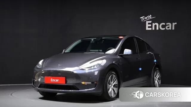Tesla Model Y 2021 Серый из Кореи