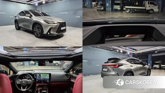 Lexus NX350h Second generation 2024 Серый из Кореи