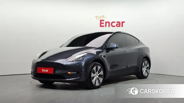 Tesla Model Y 2021 Серый из Кореи