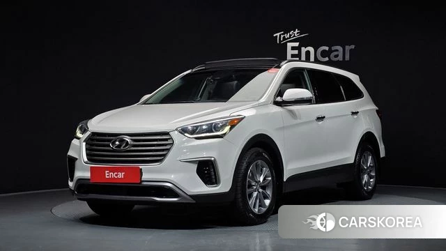 Hyundai The New Max Cruise 2019 Белый из Кореи