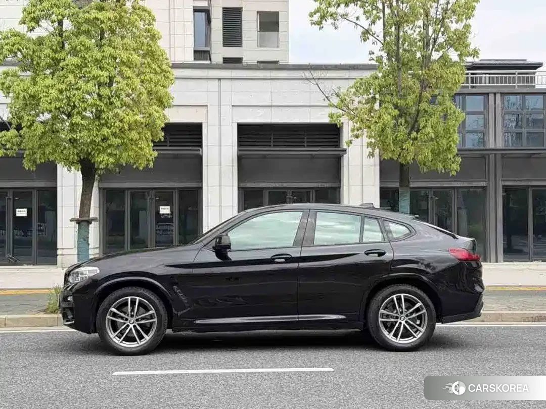 BMW X4 2019 Red/purple из Китая