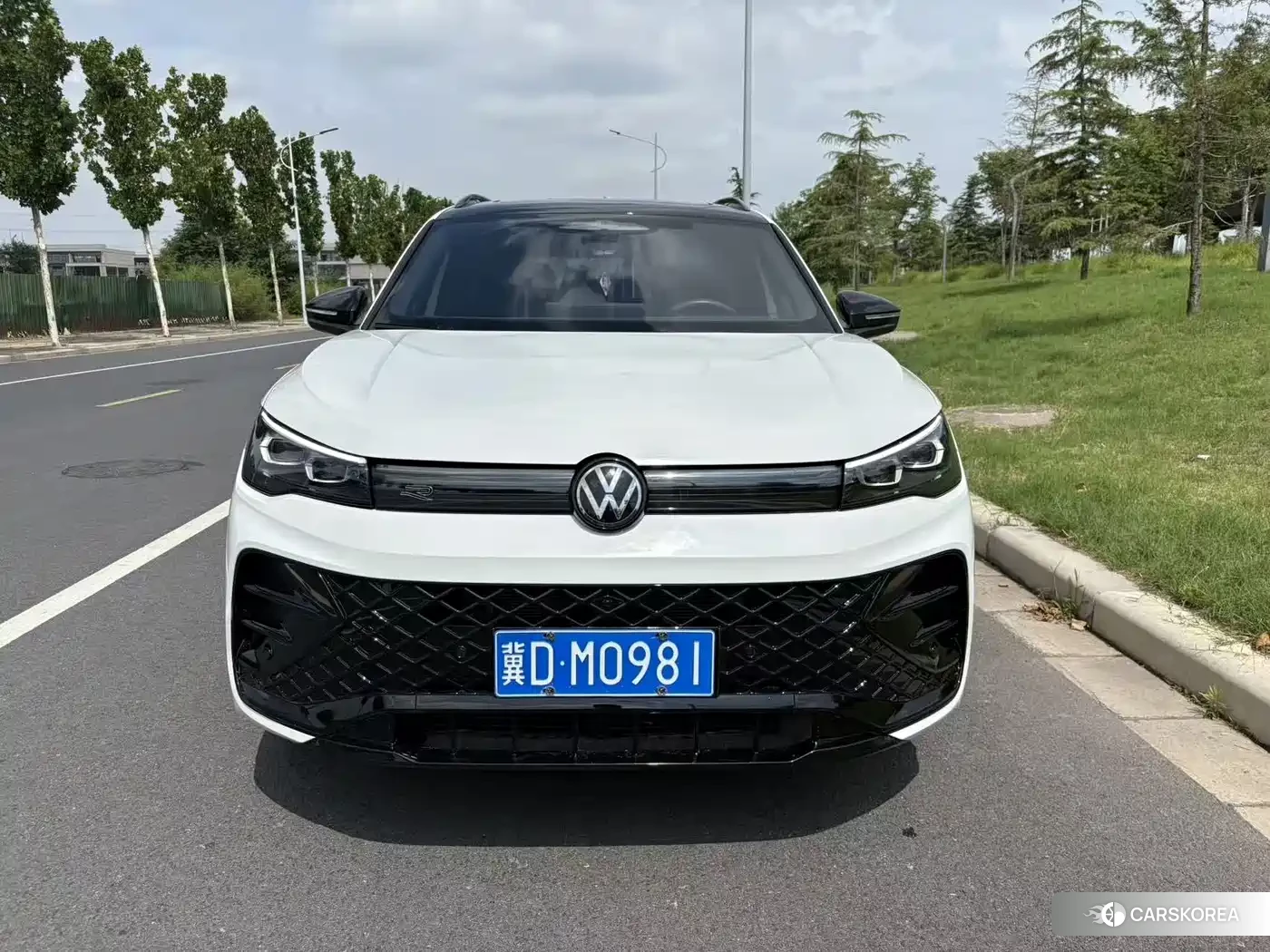 Volkswagen Tiguan L 2024 Белый из Китая