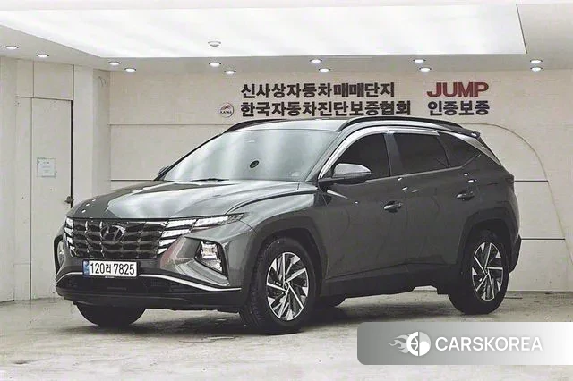 Hyundai Tucson Hybrid (NX4) 2021 Коричневый из Кореи