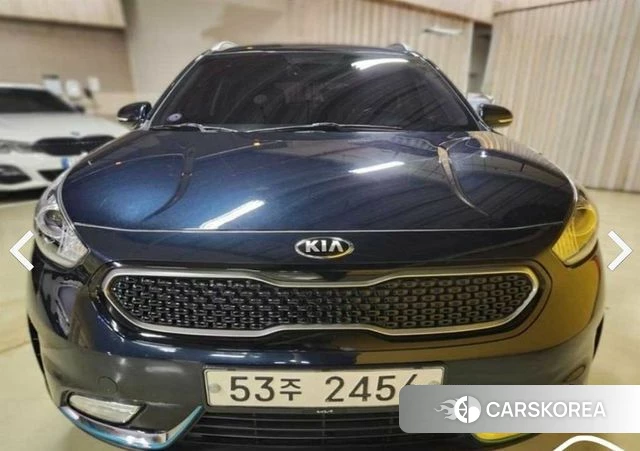 Kia Niro EV 2018 Синий из Кореи