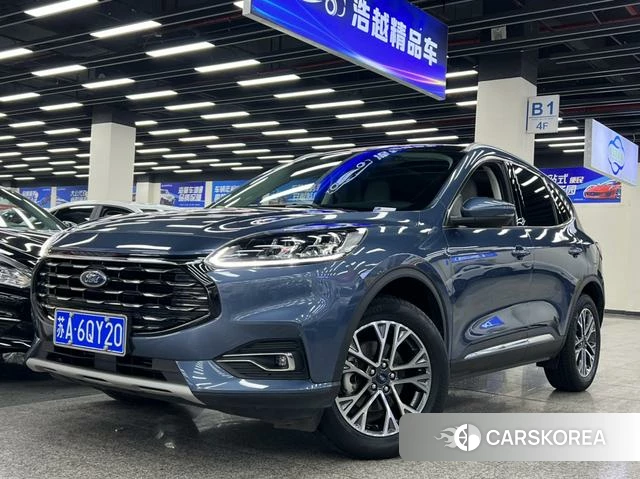 Ford Ruiji 2021 Синий из Китая
