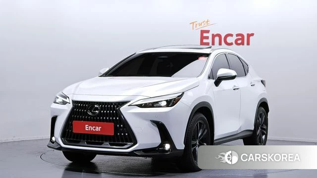 Lexus NX350h Second generation 2024 Белый из Кореи