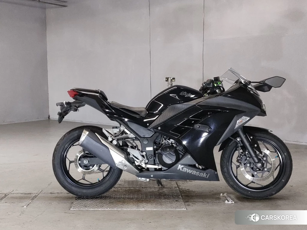 Проданный Kawasaki NINJA 250 2014 из Японии