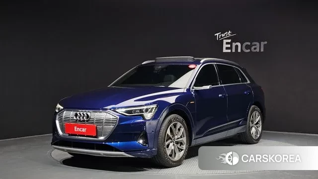 Audi e-Tron 2022 Синий из Кореи