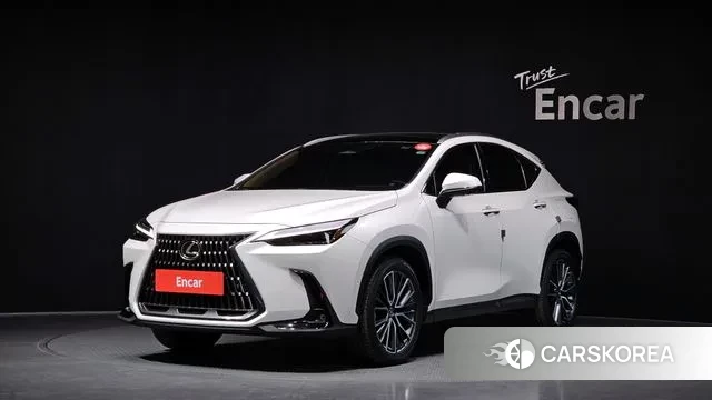 Lexus NX350h Second generation 2024 Белый из Кореи
