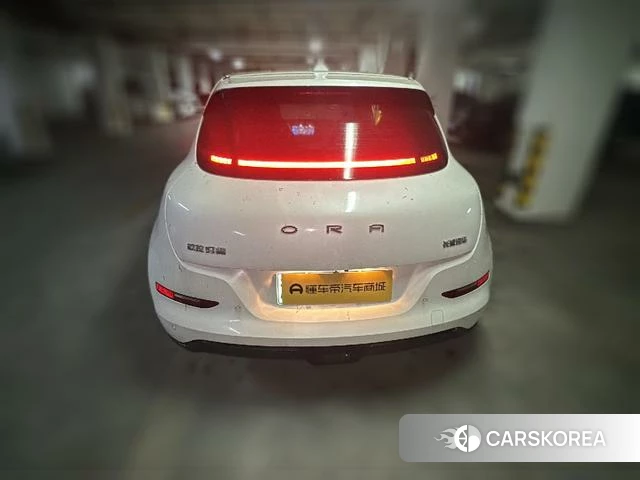 Euler Good cat 2024 Белый из Китая