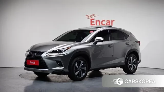 Lexus NX300h 2019 Серебряный из Кореи