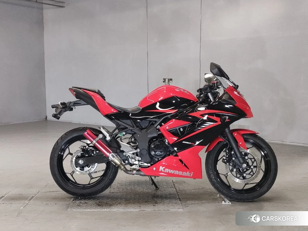 Проданный Kawasaki NINJA 250SL 2015 из Японии, фото 2