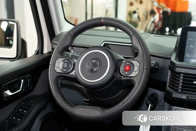 Ineos Grenadiers 2025 Белый из Китая