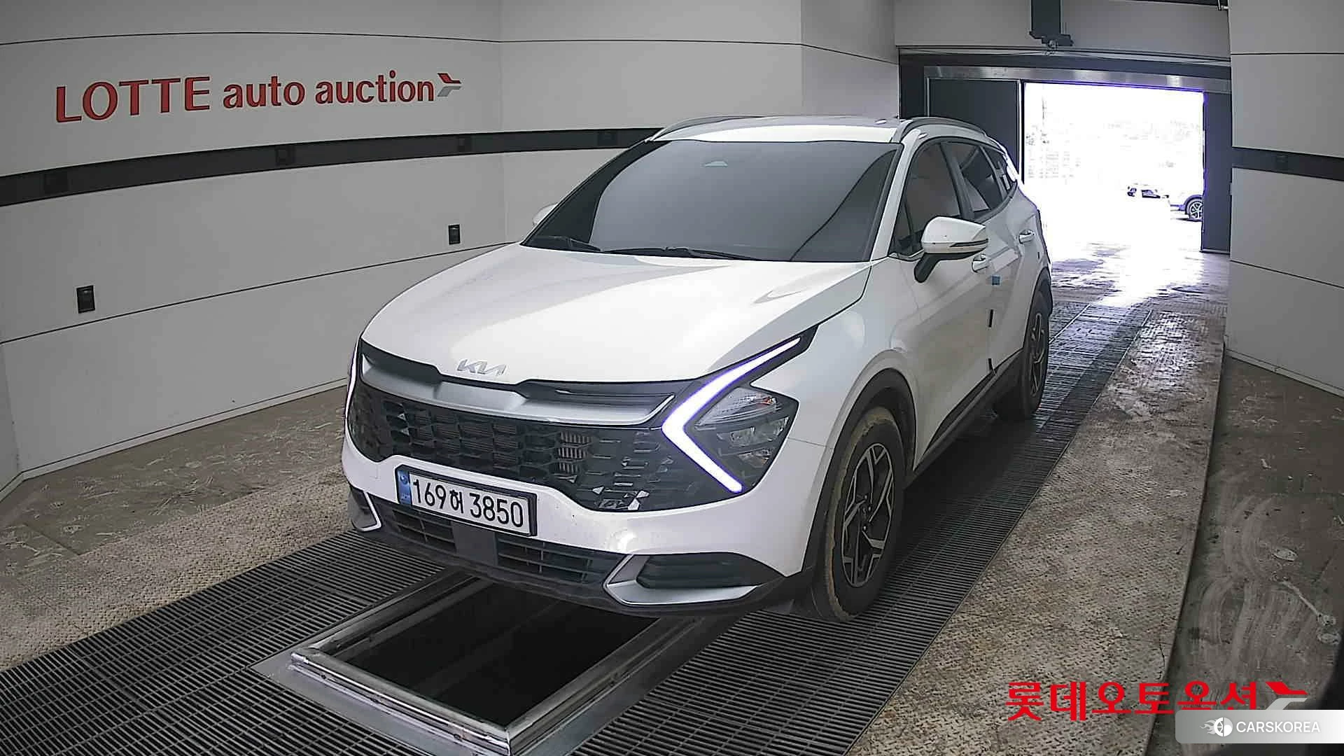 Kia Sportage 2022 Snow White Pearl (optional) из Кореи