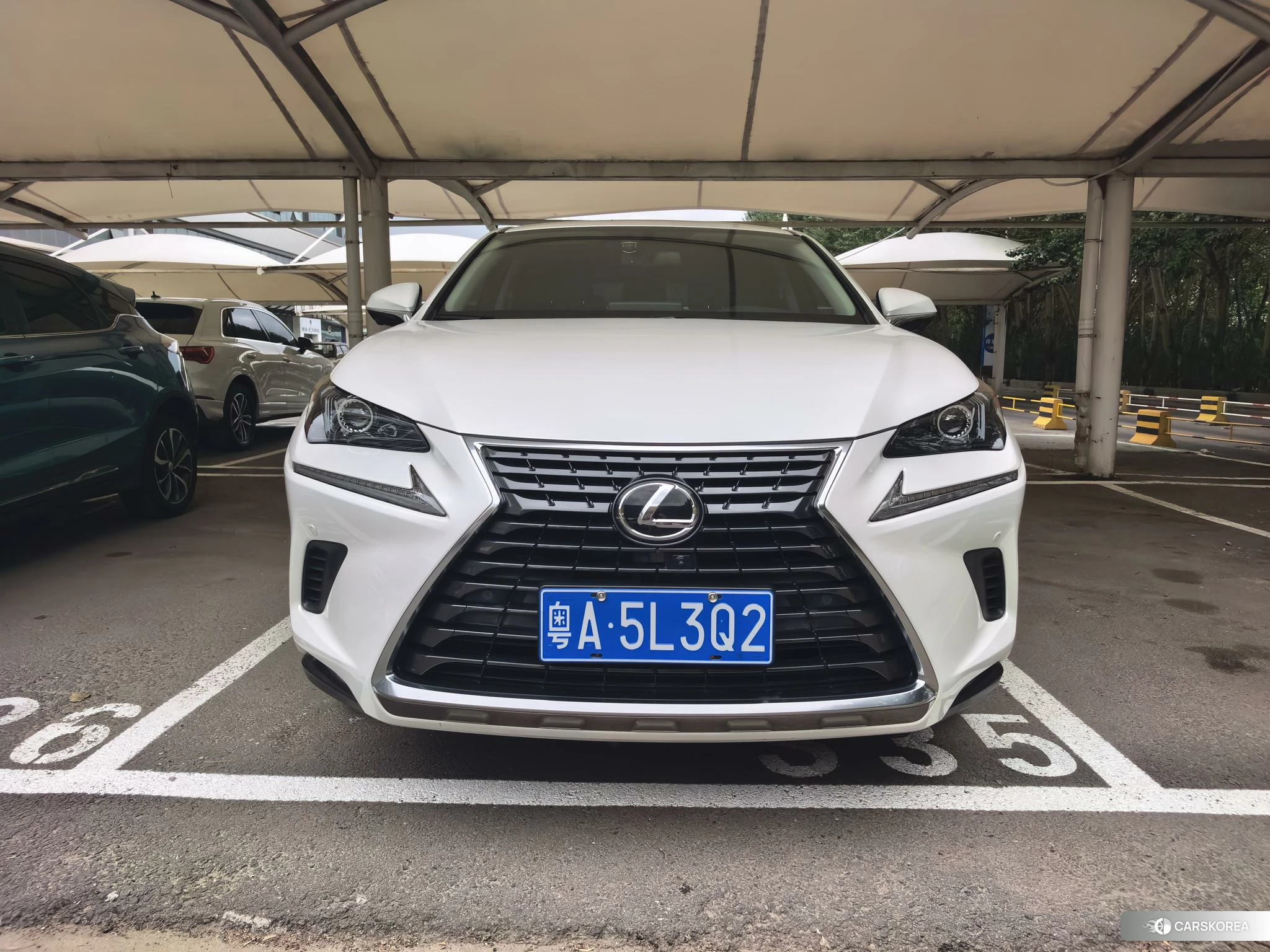 Lexus NX 2019 Белый из Китая
