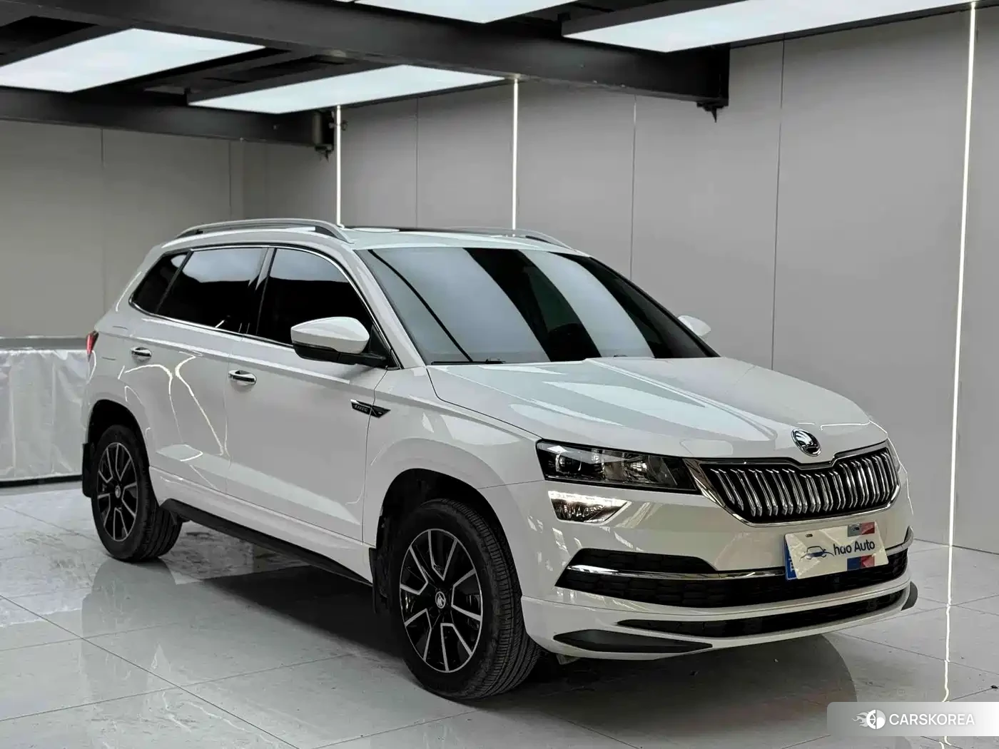 Skoda Krok 2023 Белый из Китая