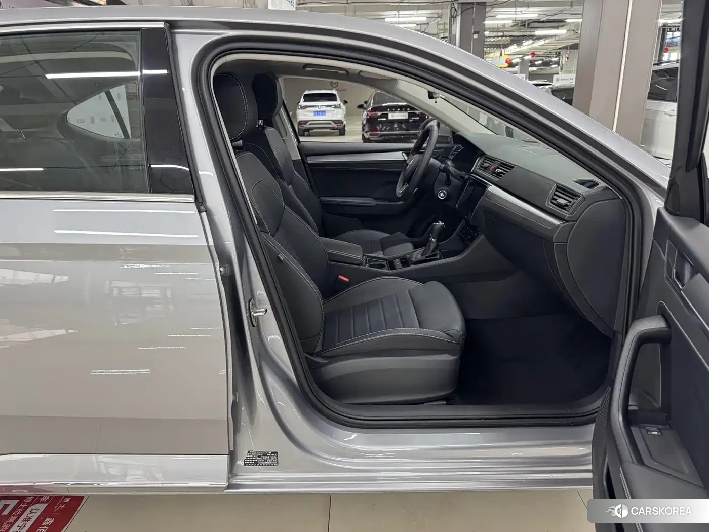 Skoda Speed pie 2025 Silver/gray из Китая