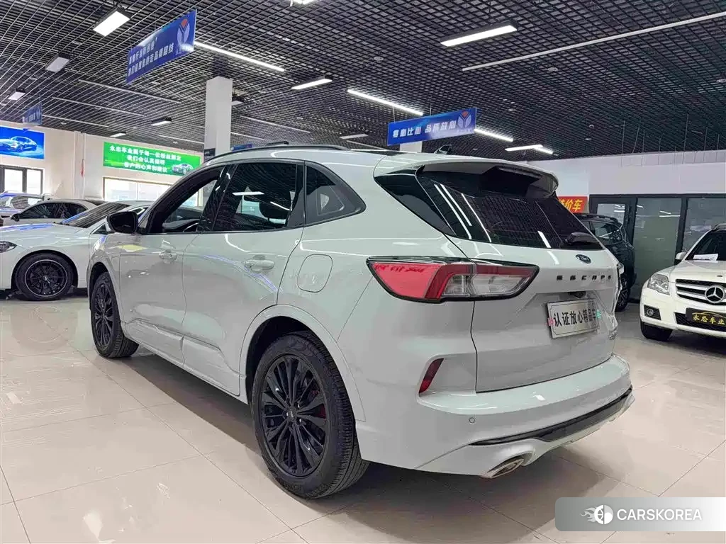 Ford Ruiji 2023 Silver/gray из Китая