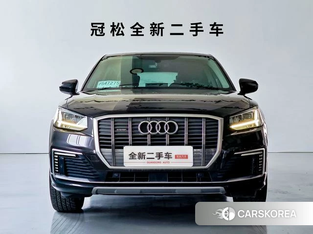 Audi Q2L e-tron 2021 Темно-серый из Китая