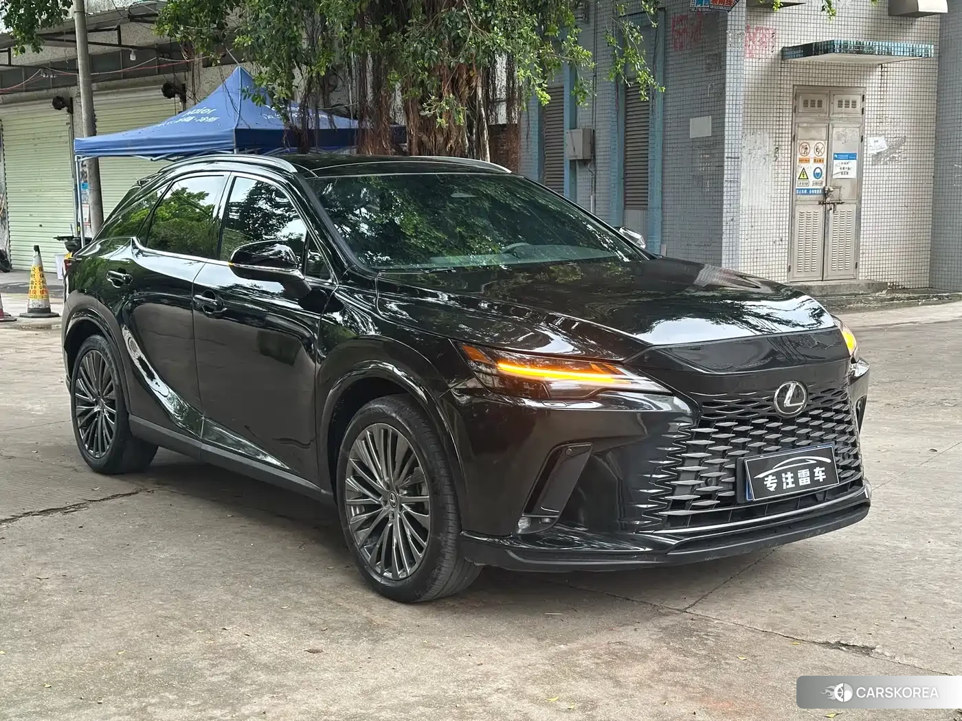 Lexus RX 2025 Черный из Китая