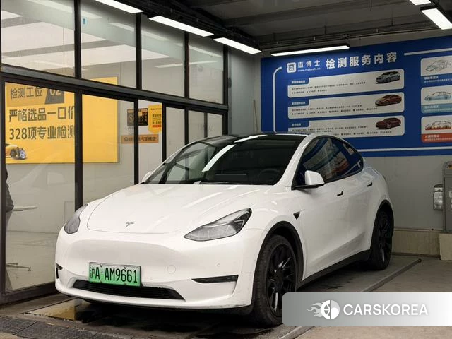 Tesla Model Y 2022 Белый из Китая