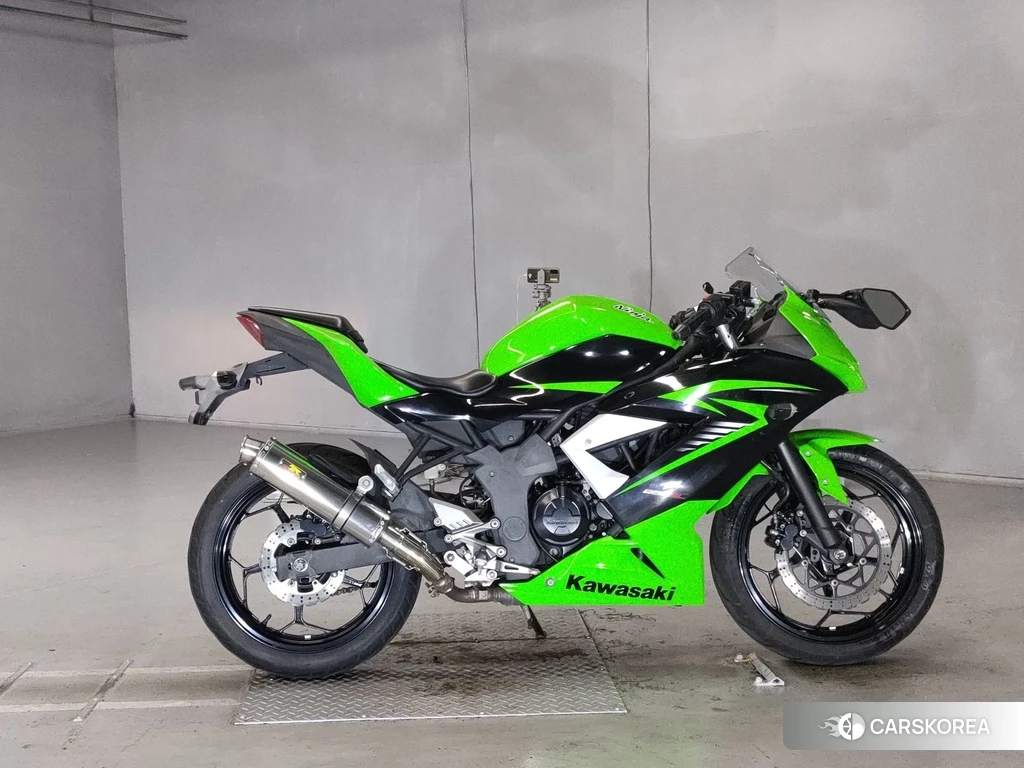 Проданный Kawasaki NINJA 250SL 2015 из Японии
