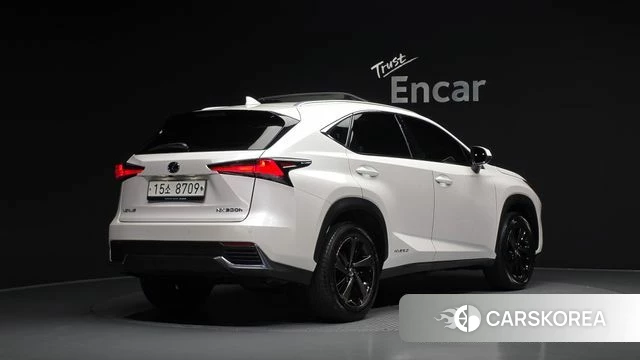 Lexus NX300h 2019 Белый из Кореи