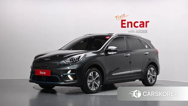 Kia Niro EV 2021 Серый из Кореи