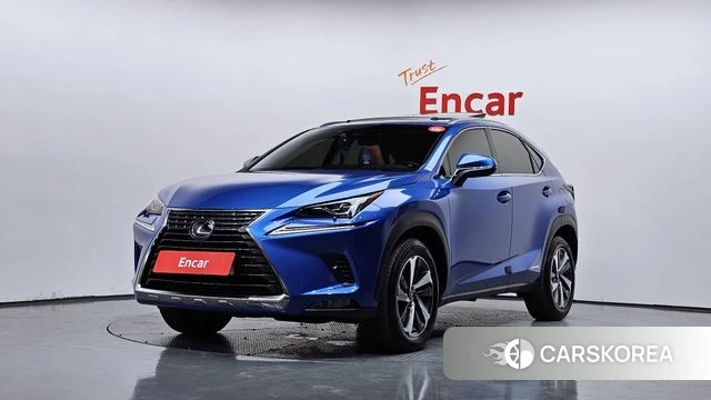 Lexus NX300h 2019 Синий из Кореи