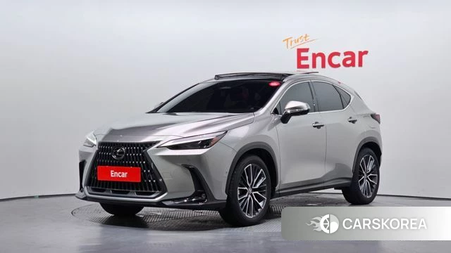 Lexus NX350h Second generation 2024 Серебристо-серый из Кореи