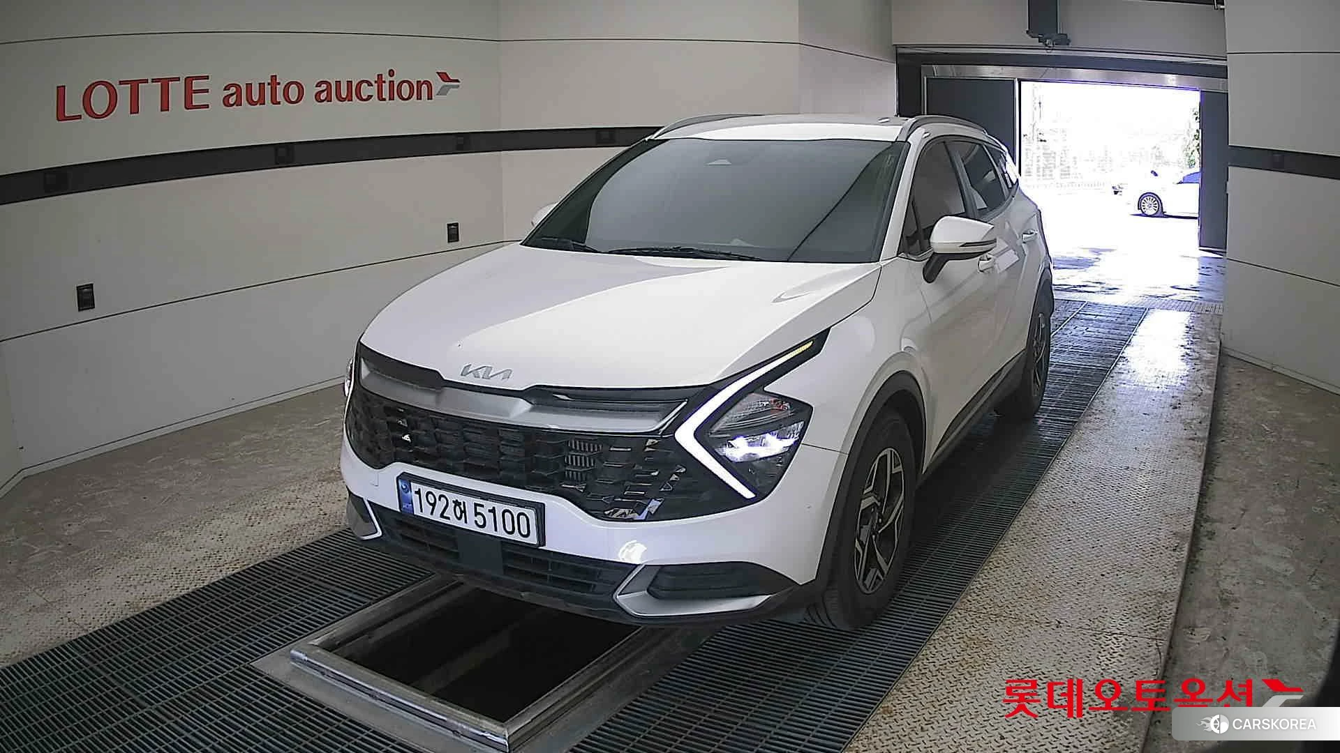 Kia Sportage 2023 Snow White Pearl (optional) из Кореи