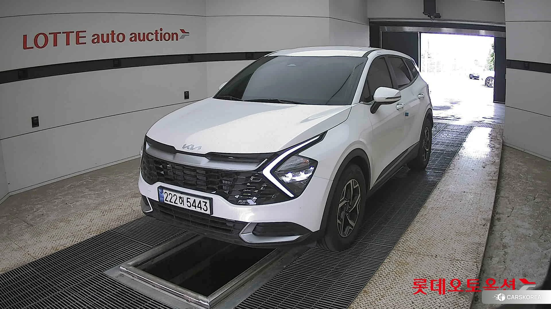 Kia Sportage 2024 Snow White Pearl из Кореи