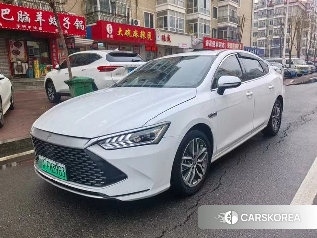 BYD Qin PLUS DM 2022 Белый из Китая