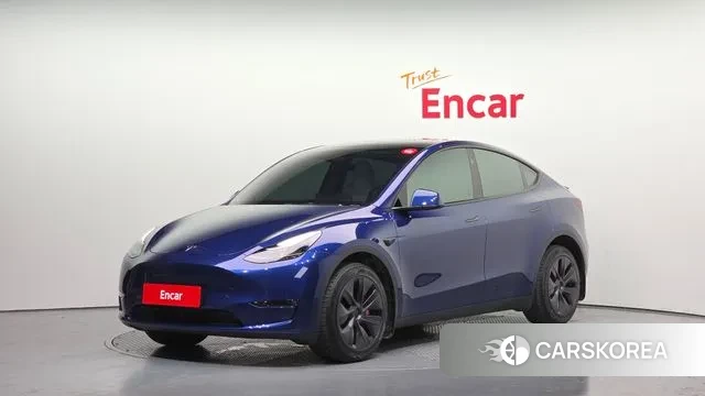 Tesla Model Y 2024 Синий из Кореи