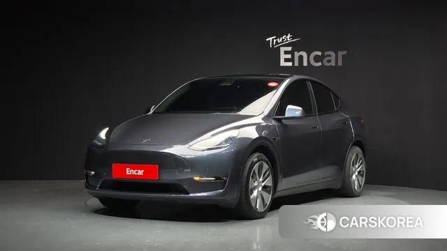 Tesla Model Y 2021 Серый из Кореи