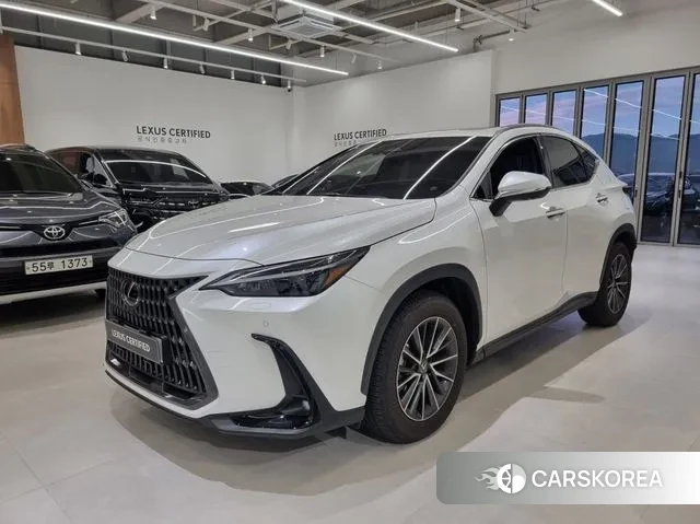 Lexus NX450h + 2nd generation 2025 Белый из Кореи