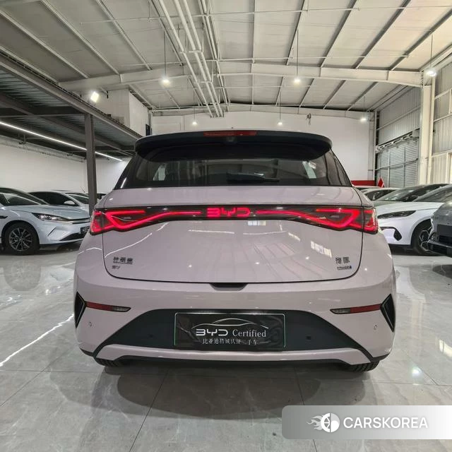 BYD dolphin 2025 Другой из Китая