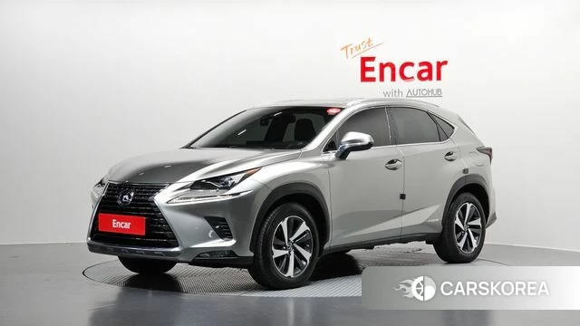 Lexus NX300h 2018 Серебристо-серый из Кореи