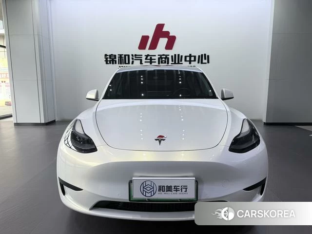 Tesla Model Y 2023 Белый из Китая