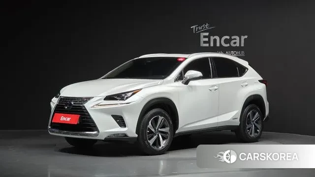 Lexus NX300h 2020 Белый из Кореи