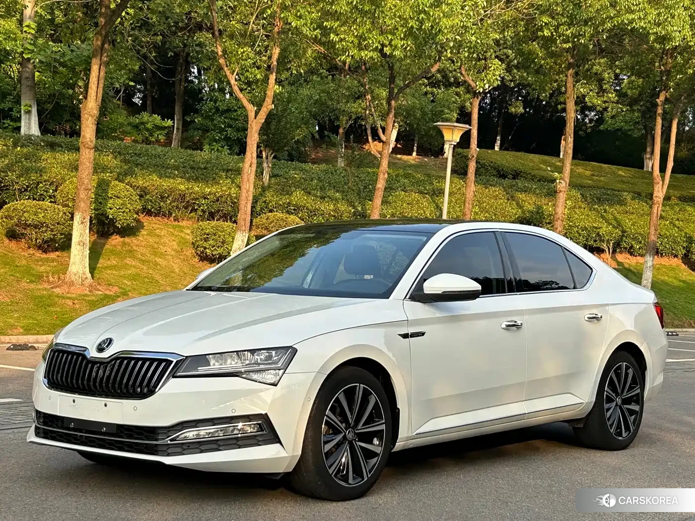 Skoda Superb 2022 Белый из Китая