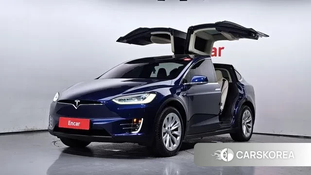 Tesla Model X 2019 Синий из Кореи