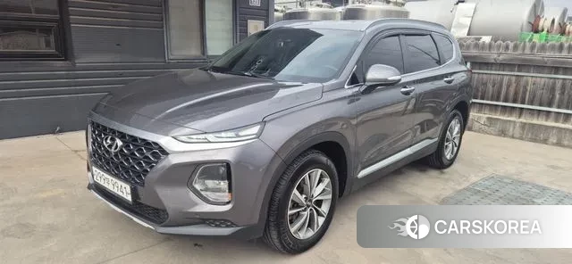 Hyundai Santa Fe TM 2019 Цвет тростника из Кореи