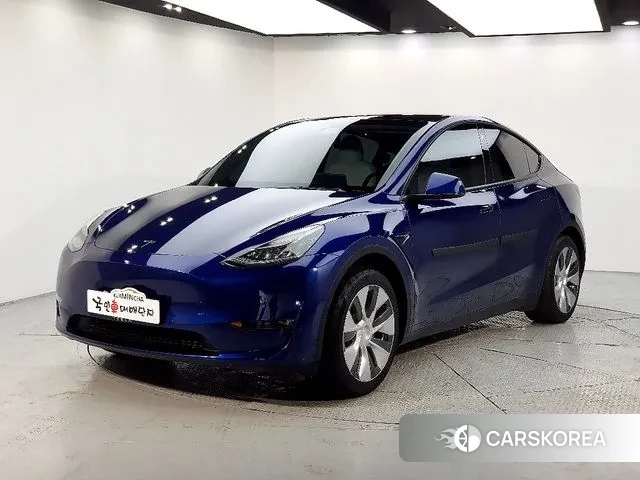 Tesla Model Y 2021 Синий из Кореи
