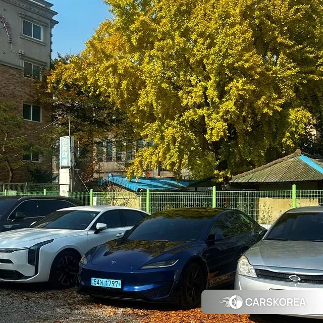 Tesla Model 3 2024 Синий из Кореи