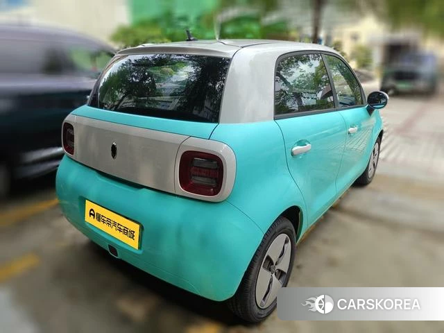 Euler Black cat 2020 Другой из Китая