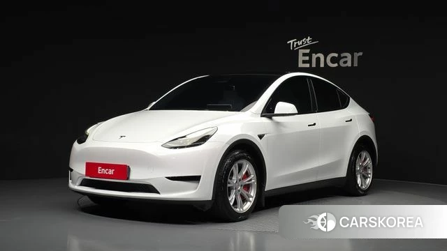 Tesla Model Y 2023 Белый из Кореи