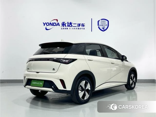 BYD dolphin 2023 Желтый из Китая