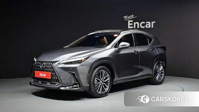 Lexus NX350h Second generation 2024 Серый из Кореи