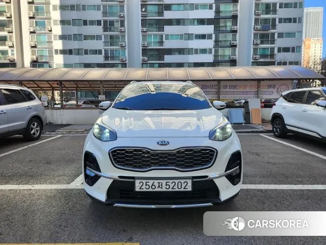 Kia Sportage The Bold 2019 Белый из Кореи